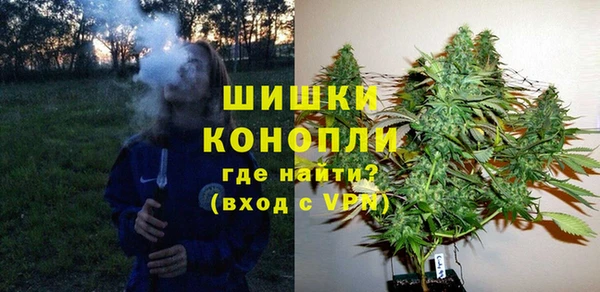 сатива Алексин
