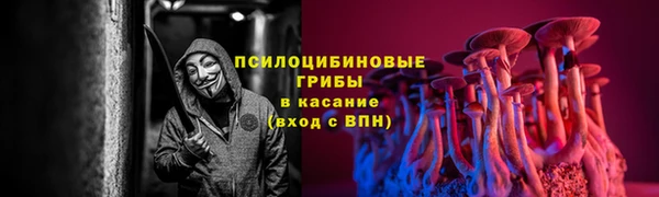 сатива Алексин
