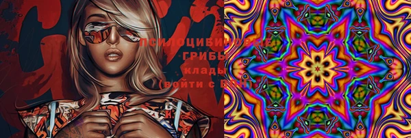 МДПВ Алексеевка